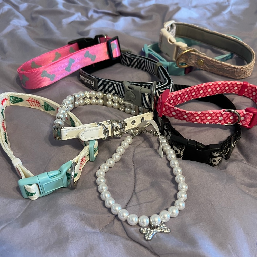 Assorted Dog Collars with Various Designs - Picture 4 of 5